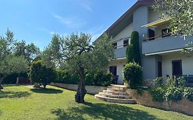 App Trinodis